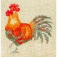 Coq (Fiche)