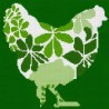 Poule de printemps