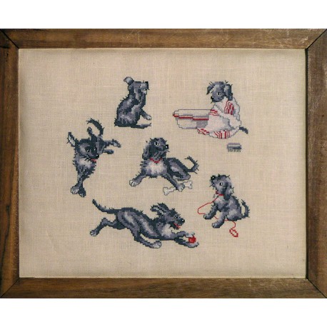 Vie de chat (Fiche)