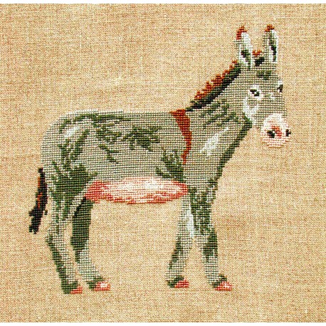 Ane (Fiche)