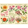Fleurs d'automne (Kit)