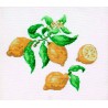 Citrons (Kit)