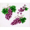Raisins (Kit)