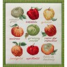 Race de pommes (Kit)