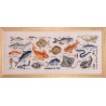 Poissons (Kit)